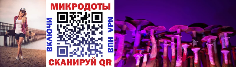 наркота Боровск Псилоцибиновые грибы мицелий