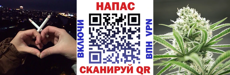 наркотики Боровск Канабис сатива